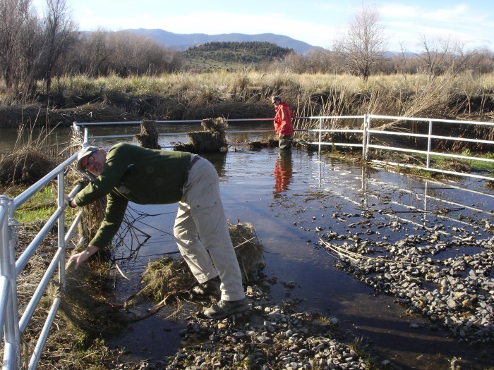 The Shasta river is fenced off but this &quot;cage&quot; is where they can get access to the water.  A flood covered it with weeds and grass so C &amp; A cleaned it off.