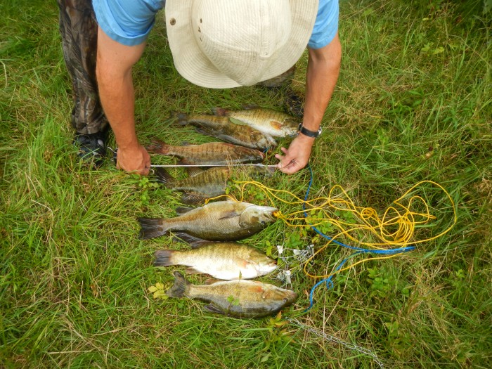 this was a good looking stringer of bass that kept us fed for a couple of days. Dave is taking some stats.