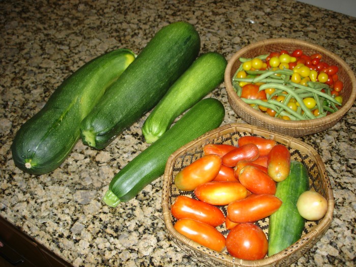 This morning's crop.  We already gave away two bigger zucs together with the lasagna recipe.  We missed two days of picking so the zucs are 18 inches long!  On to Z-meatloaf, z-chocolate cake, z-quiche, etc.