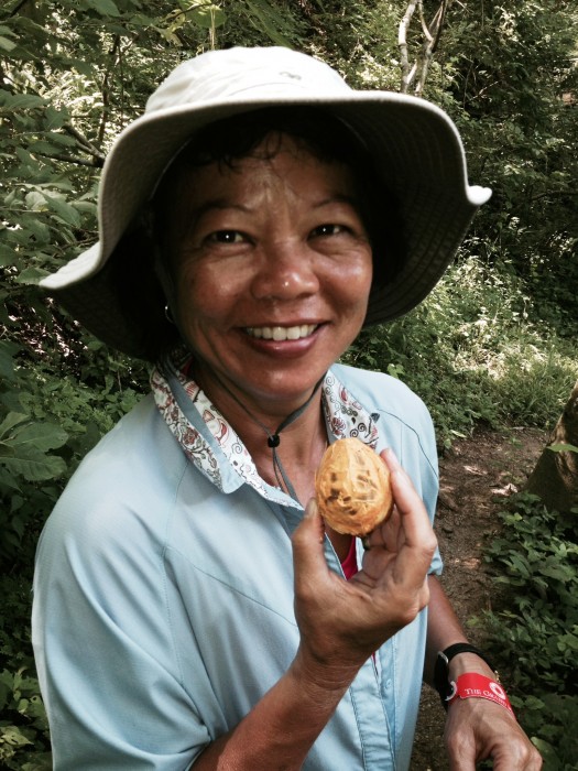 This is a native coconut. We broke it open and the meat was like the coconut we know but shaped like a big walnut.