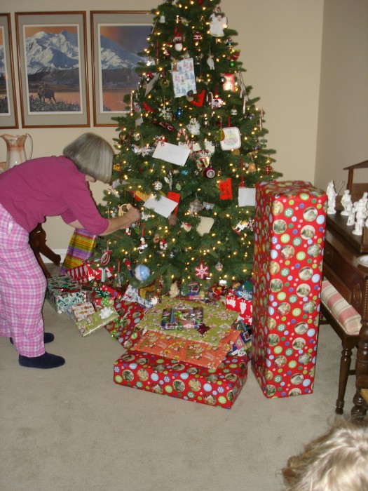 The tree was beautiful and there were LOTS more presents the neat morning!