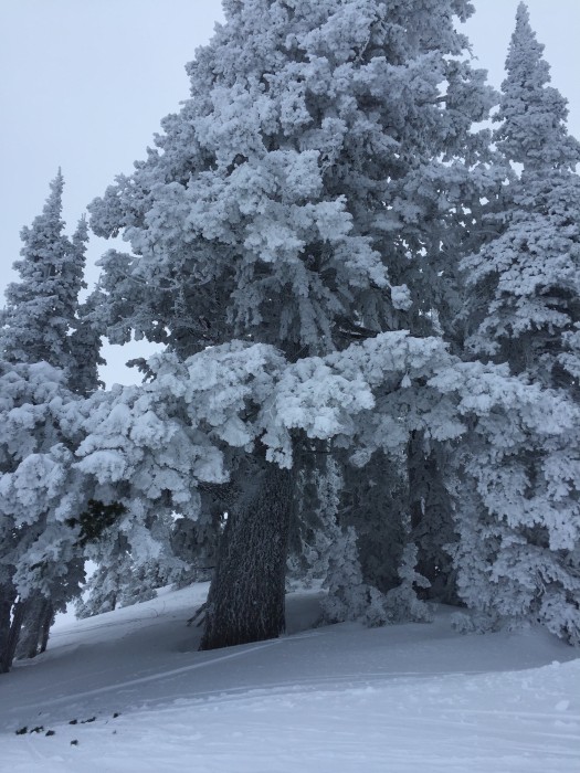 Snow Basin