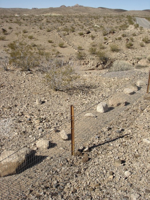 All along the roads near the lake are these &quot;turtle fences.&quot;  The rocks are holding some of the fence down so they don't dig under it.  OK - I know they are Desert Tortoises.  I don't think they would take offence!