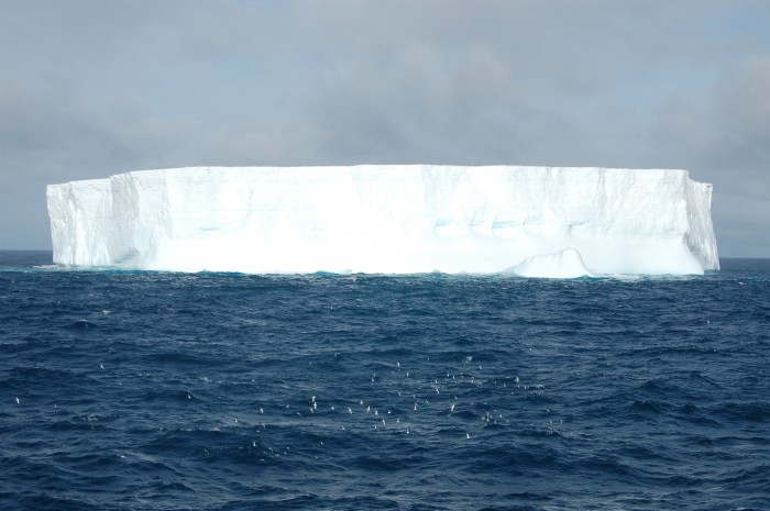 Big ice berg on the cruise to South Georgia with lots of Antarctic prions