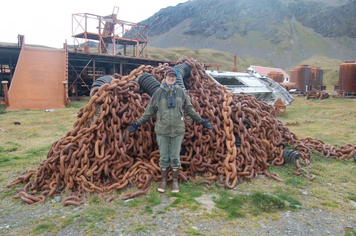 Grytviken chain pile