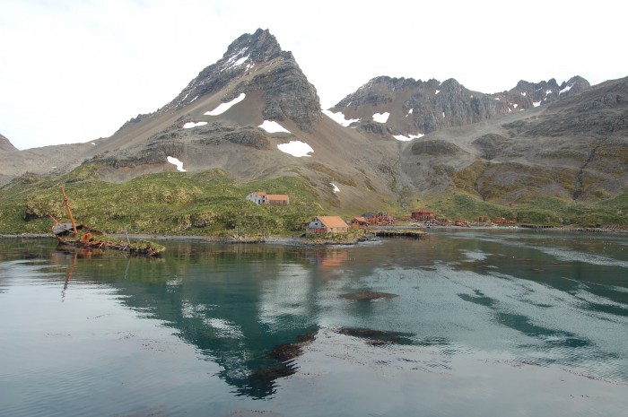 Whaling statiion at Olaf Bay, won't let you any closer than 200m, lots of nasties