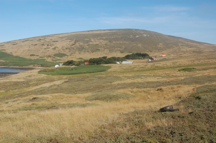 Sheep station like any other sheep station on Carcass Island Falklands