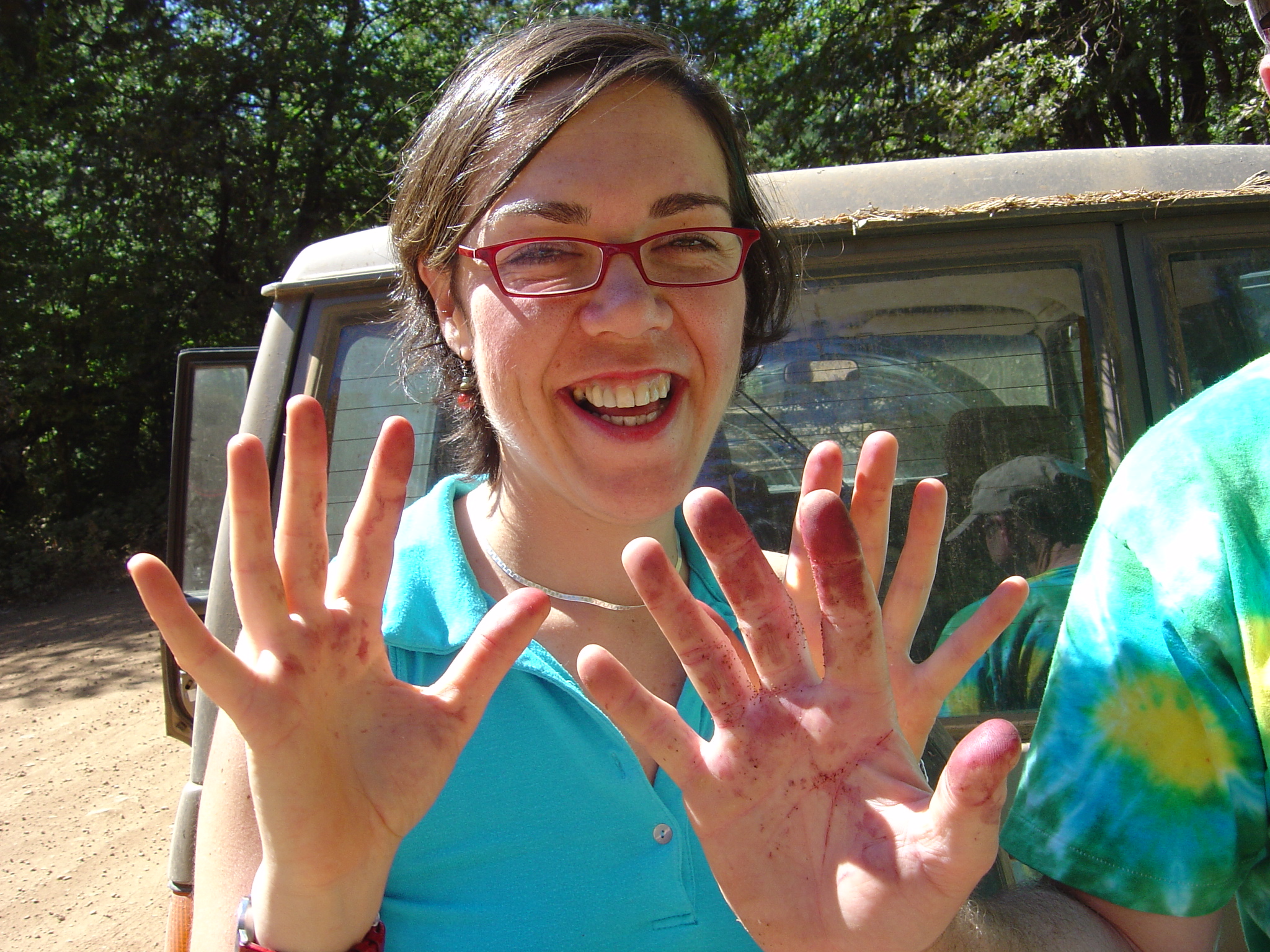 we picked blackberries