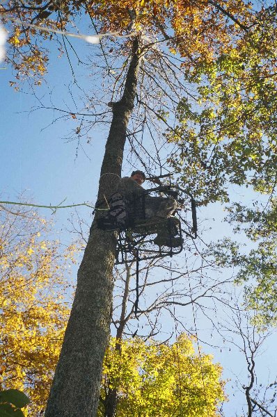 The stands we used are 'climbers' so that we could shift stand sites quickly. Each time we go out we usually pick a new spot. At least the scenery changes and there are a new batch of squirels to watch while waiting for the deer.