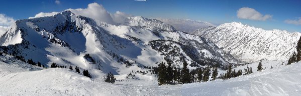 pano shot from the top of the bird