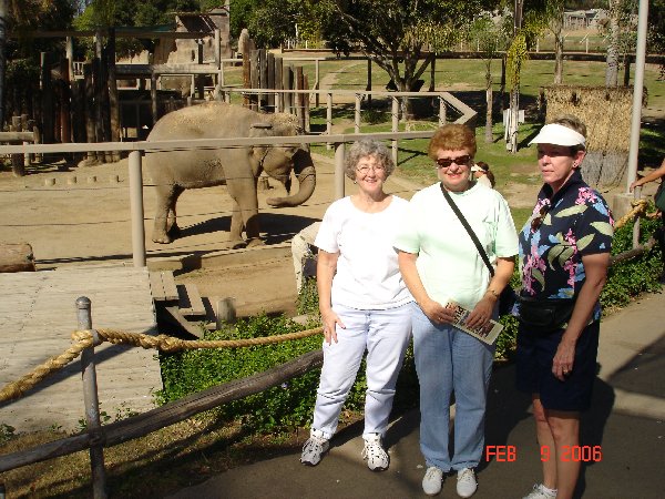 We went to the Wild Annimal Park and saw the elephants, etc.