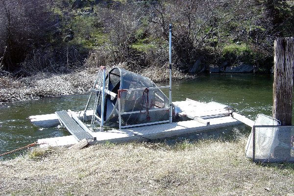 The fish screw collects fish from the river for identification.