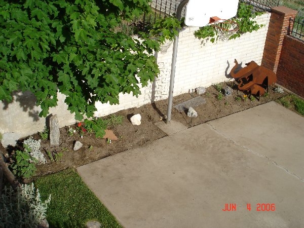 Now we have a new garden there!  The cage is for pole beans!