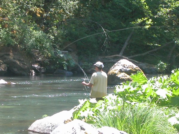 eyeing the lunker