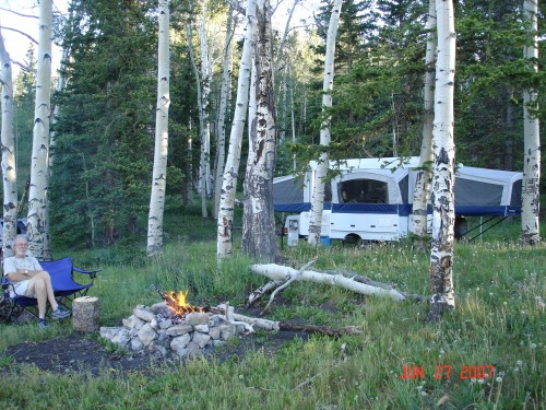 Here's our site among the trees.  Our summer home on wheels.