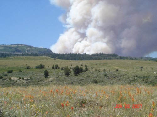 As we drove out we found out it was a controlled burn - not a problem.  But, this morning I read in the paper that it got out of controll (not badly, tho).