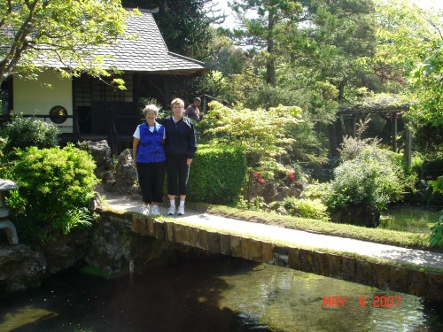 We got to the National stud Farm because the weather was sunny and we wanted to visit gardens while it was, and the Japanese Garden is right next to the Stud.  We had 3 days of sun and gardens!