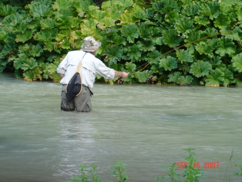 Chris felt that there might be a big brown under the bushes off the Island.  There wasn't, or he would have caught it!